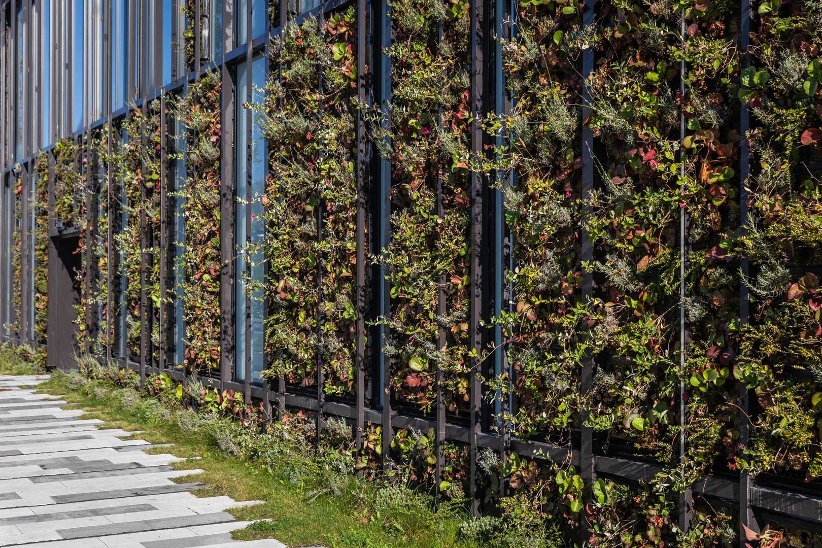 Zelená fasáda je skutočne atypická – svojím zaoblením rohu aj kombináciou sklenených panelov so zeleňou.