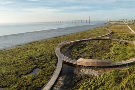 chodnik mokradami (3)