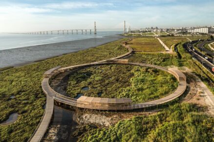 chodnik mokradami (5)