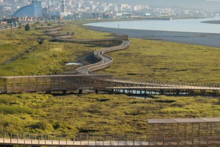 chodnik mokradami (7)