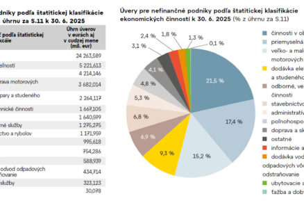 Firemné úvery majú najslabšie oživenie