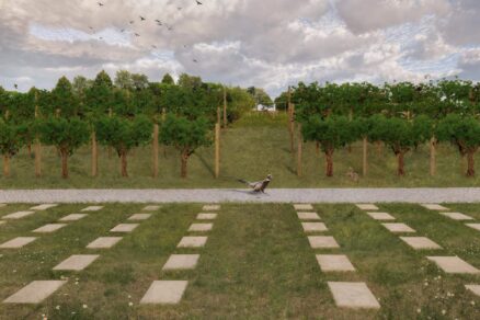 ideova-studia-cintorin-raca