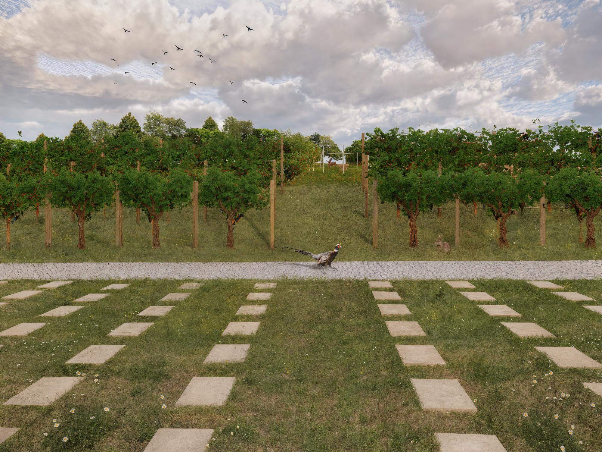 Ideová štúdia cintorín Rača, Bratislava