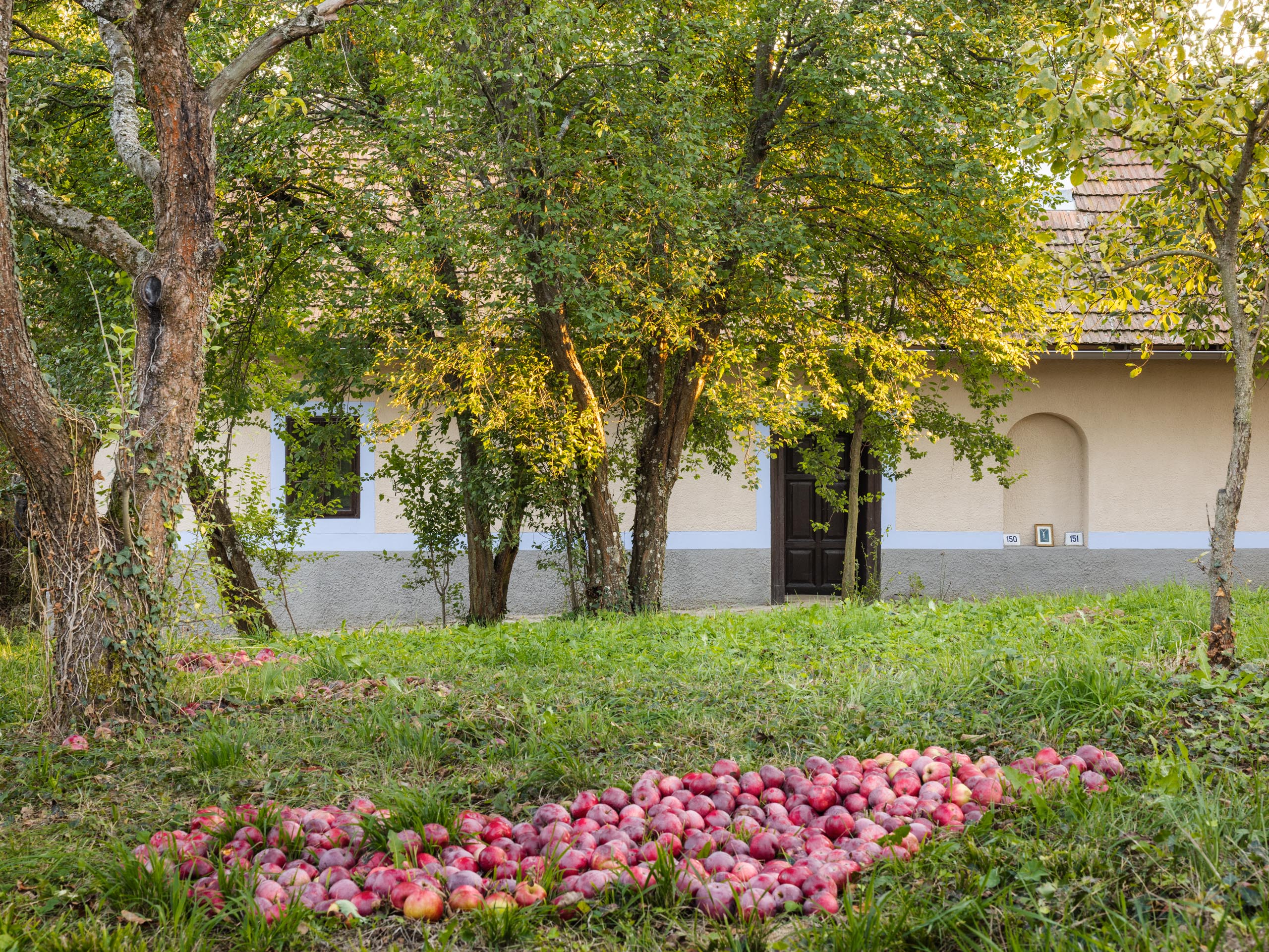 Umelecká rezidencia Poriadie