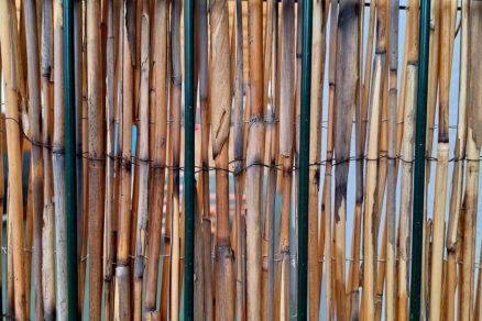 skolsky dvor mierova (13) výsledok