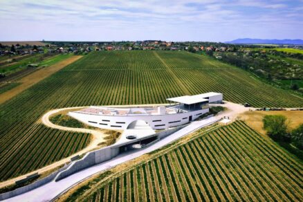 vinarstvo vrable (3)