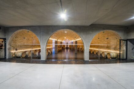 vinarstvo vrable (8)