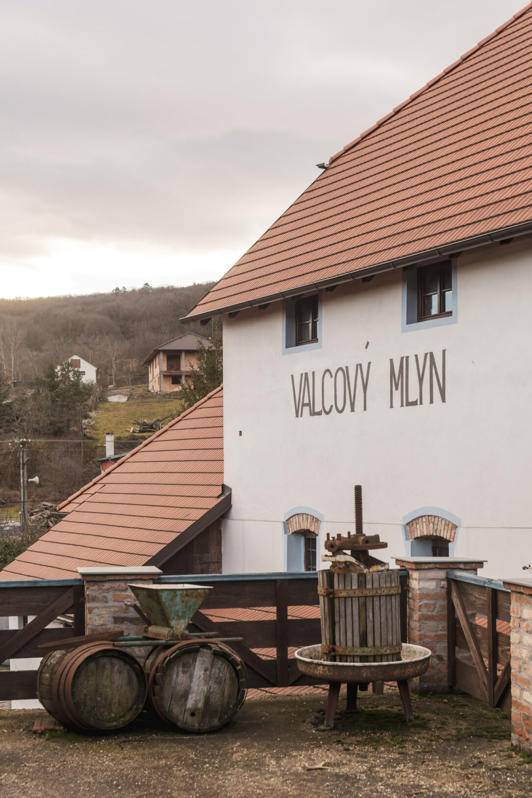 vino z mlyna (4) vino z mlyna (4)