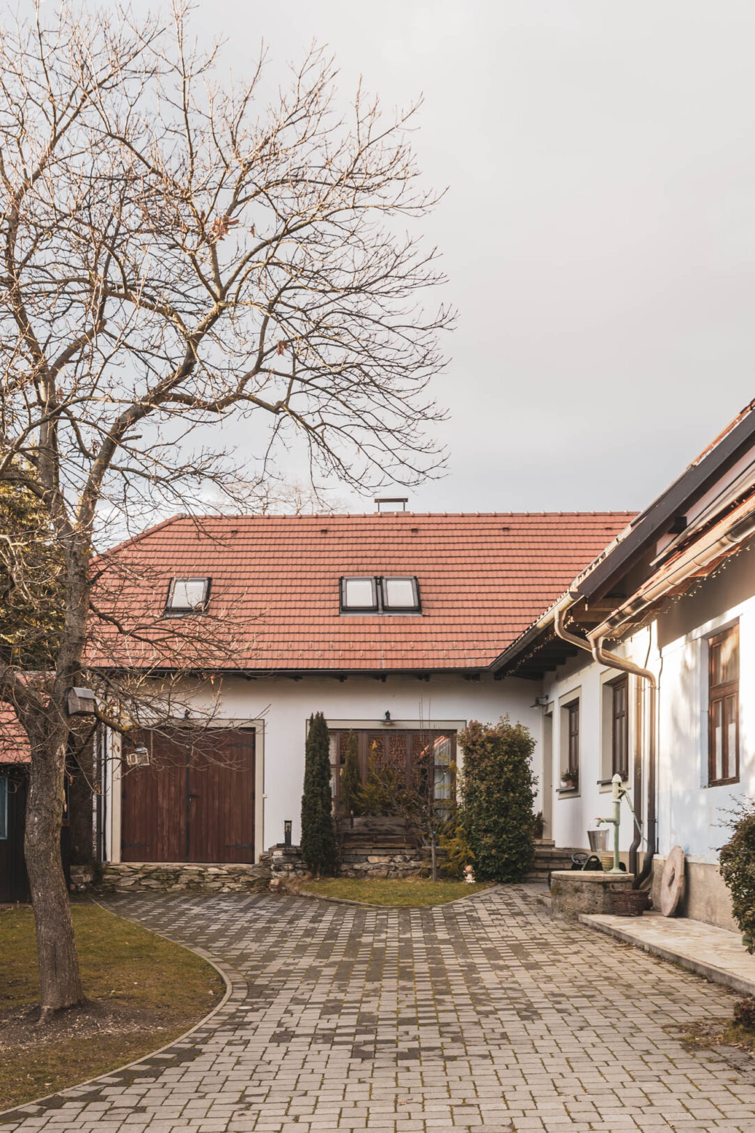 vino z mlyna (8) vino z mlyna (8)