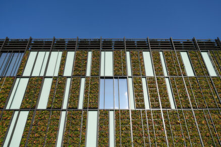 zelená fasáda prístavby Auparku v Bratislave s vegetačnými panelmi