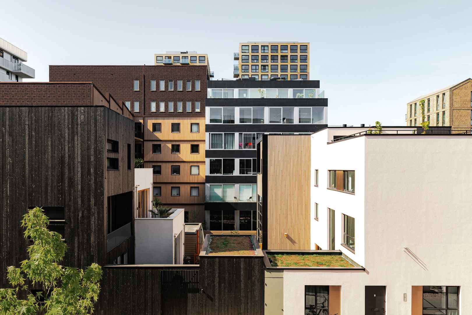 YCON je malá obytná budova v urbanistickom pláne Cityplot Buiksloterham. Päťposchodová budova ponúka dvanásť bytov a spoločný zelený dvor s úschovňou bicyklov na prízemí. 