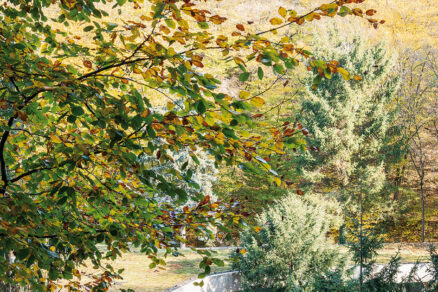 Paulíny Hovorka Architekti