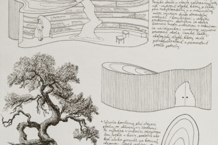 1 Hlavna cena IL6A9907