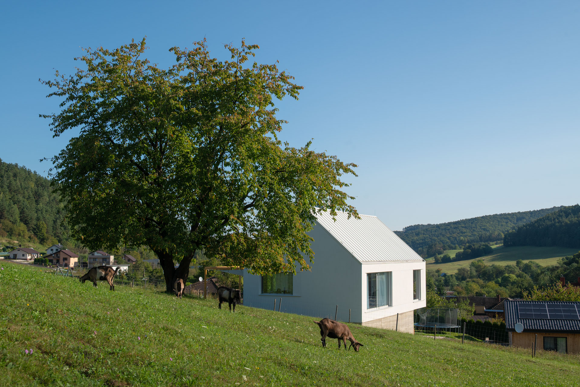 Pre architektúru domu je charakteristická archetypálna hmota - obdĺžnikový pôdorys a sedlová strecha.