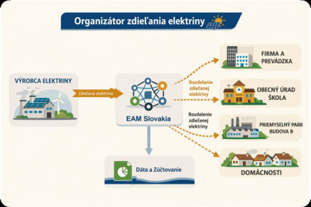 Picture share Energy EAM