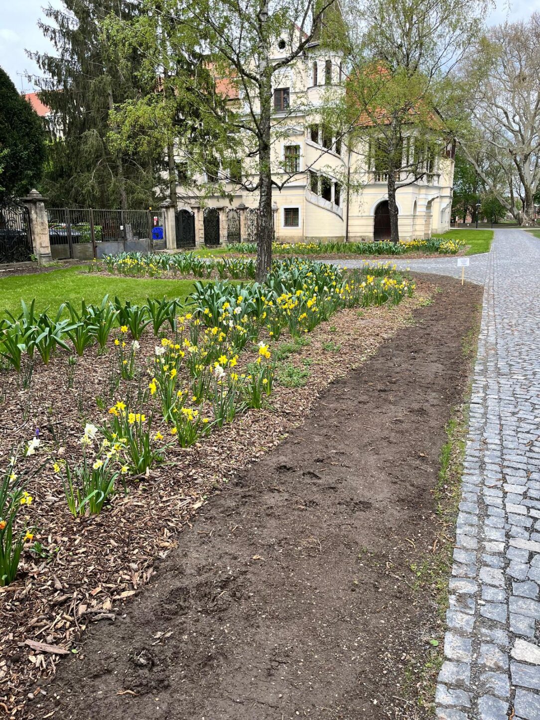 park stupava (7) park stupava (7)