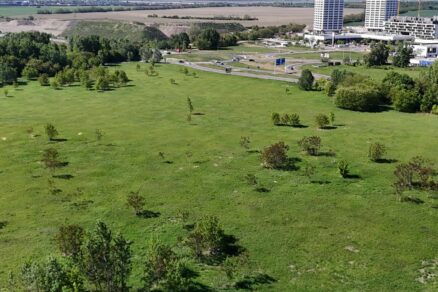 Kampus zdravia a športu, Petržalka