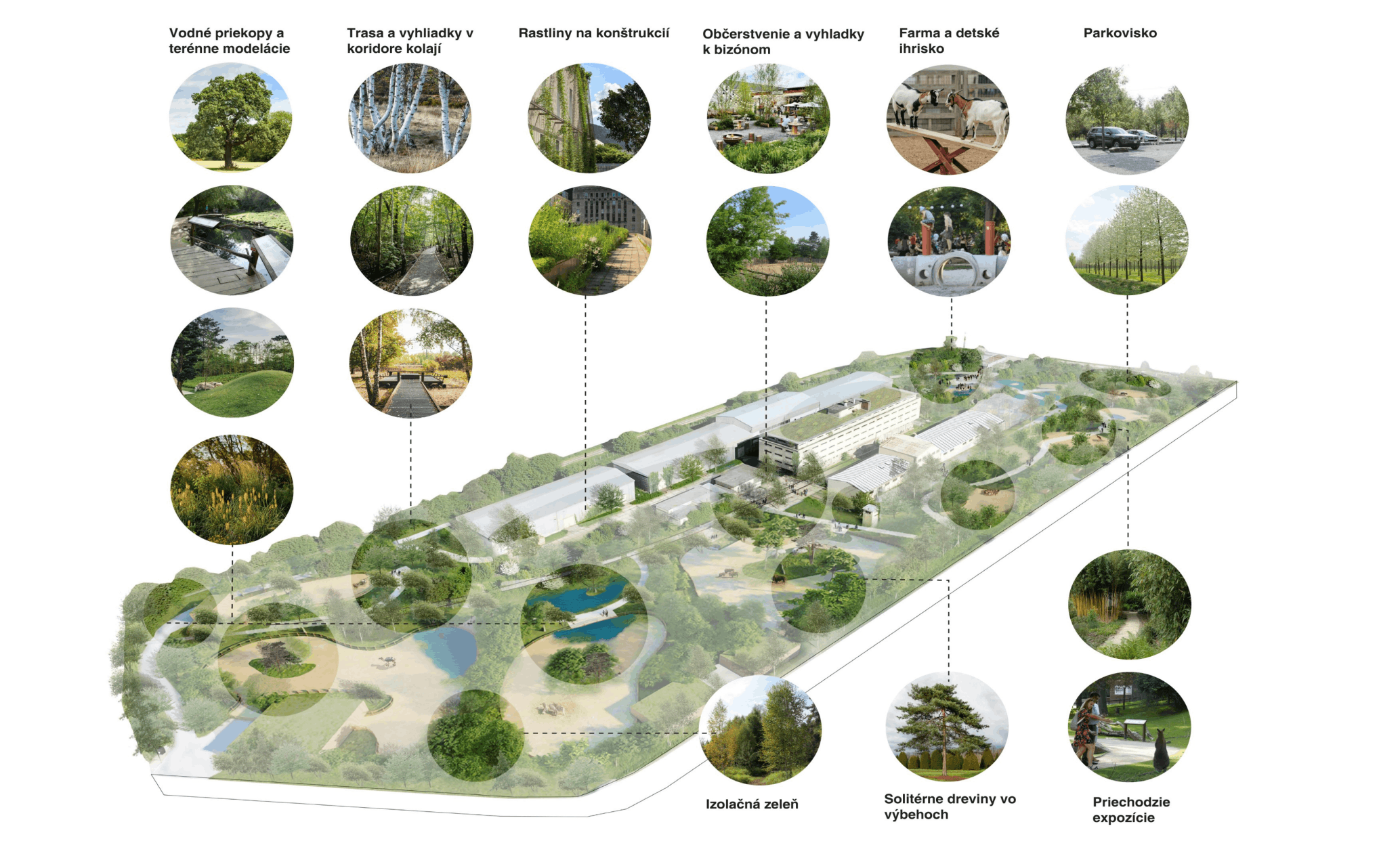 ZOO Nitra-Lužianky - schéma krajinárskych úprav zoo-nitra-luzianky
