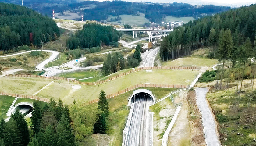 Obr. 6 Zrealizovaný ekodukt D3 Zelený most Svrčinovec, október 2025