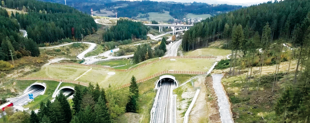 Obr. 6 Zrealizovaný ekodukt D3 Zelený most Svrčinovec, október 2025