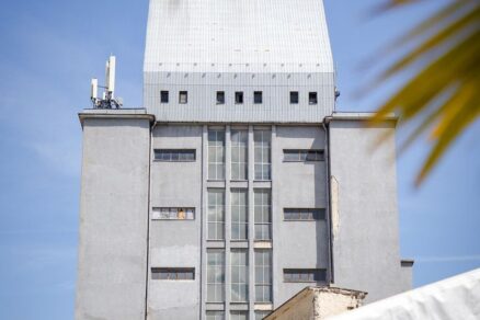 palma (11)