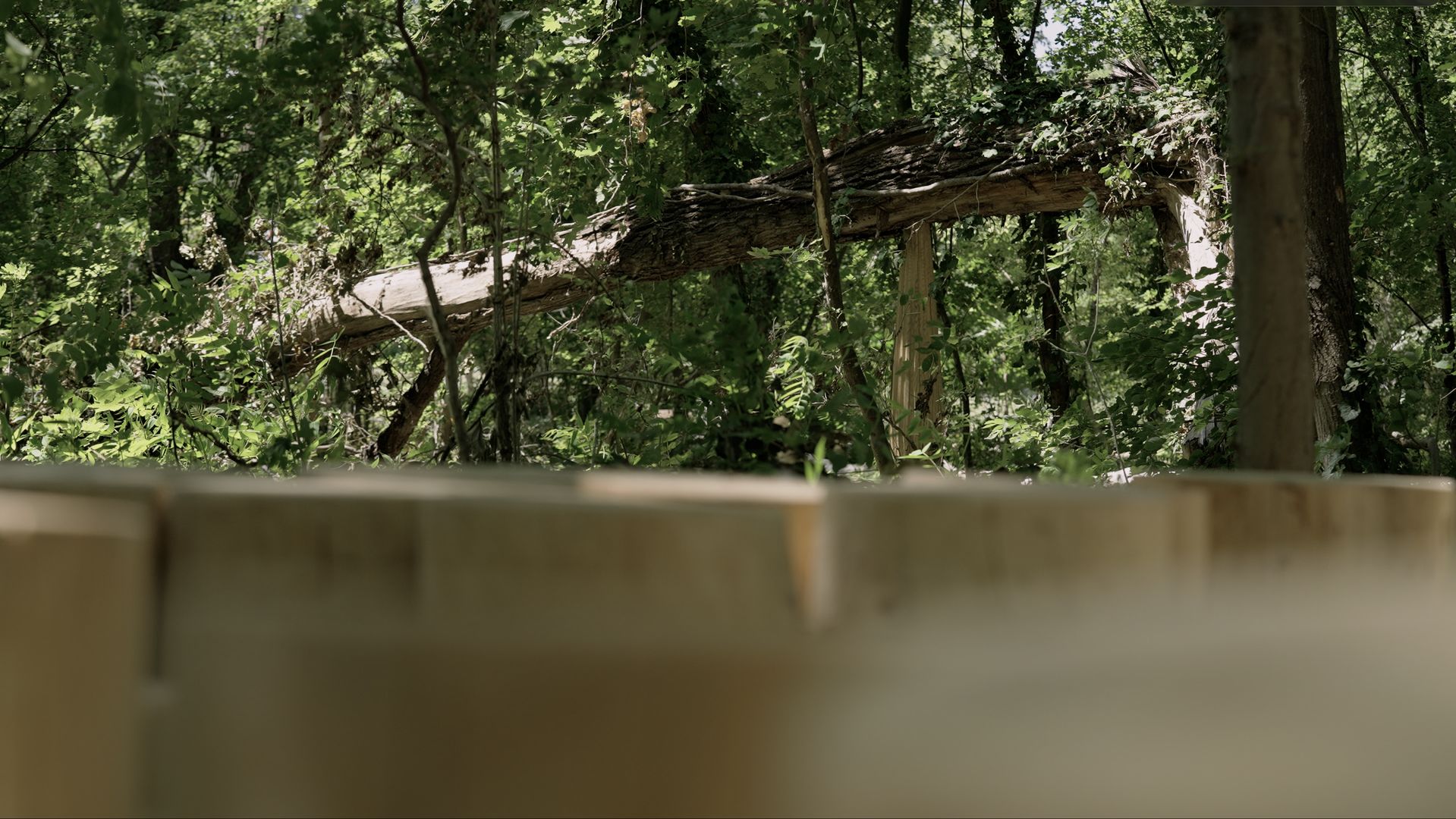 Nábrežný park Staré Lido je dokončený a prístupný pre verejnosť.