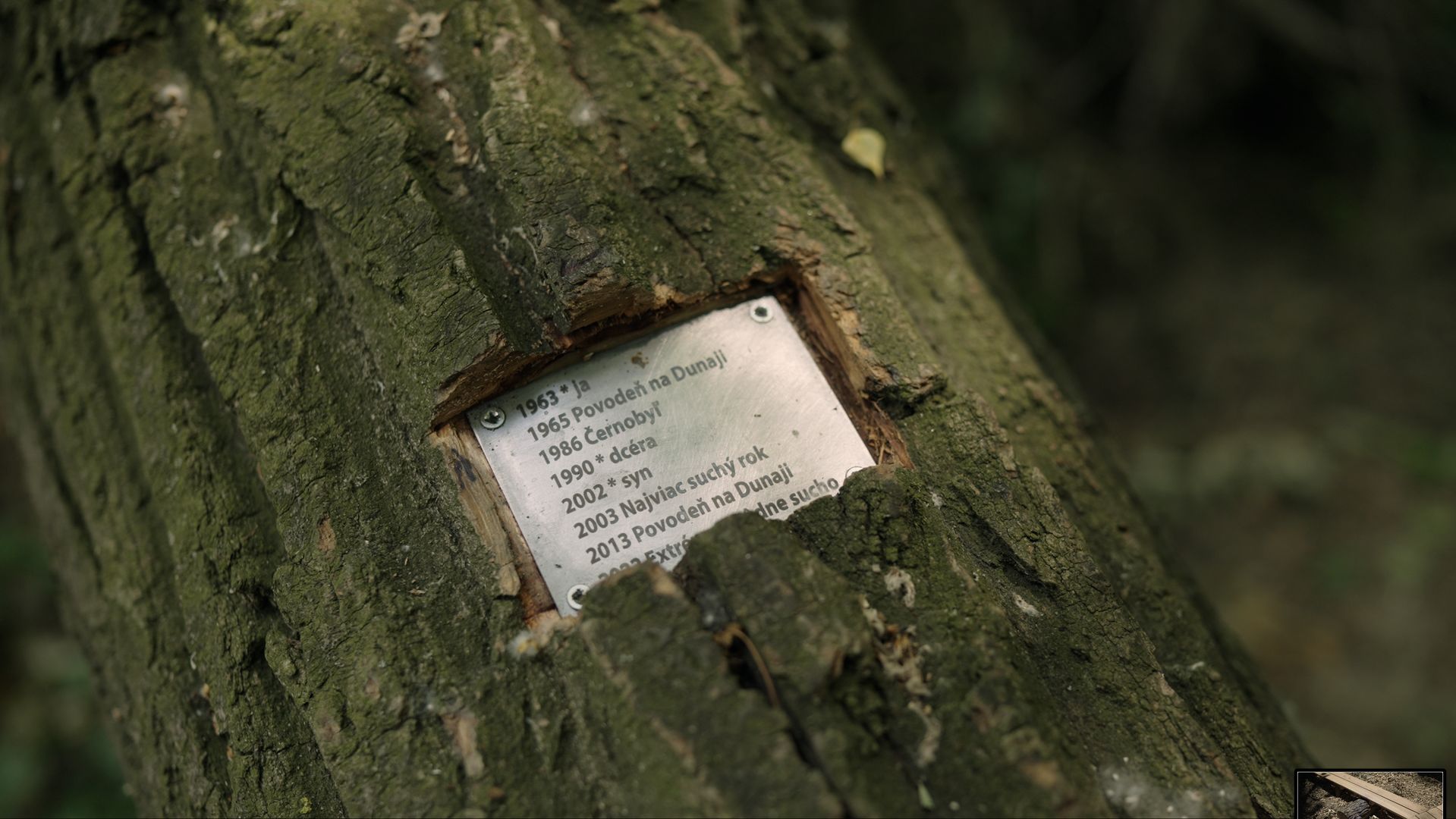 Nábrežný park Staré Lido je dokončený a prístupný pre verejnosť.