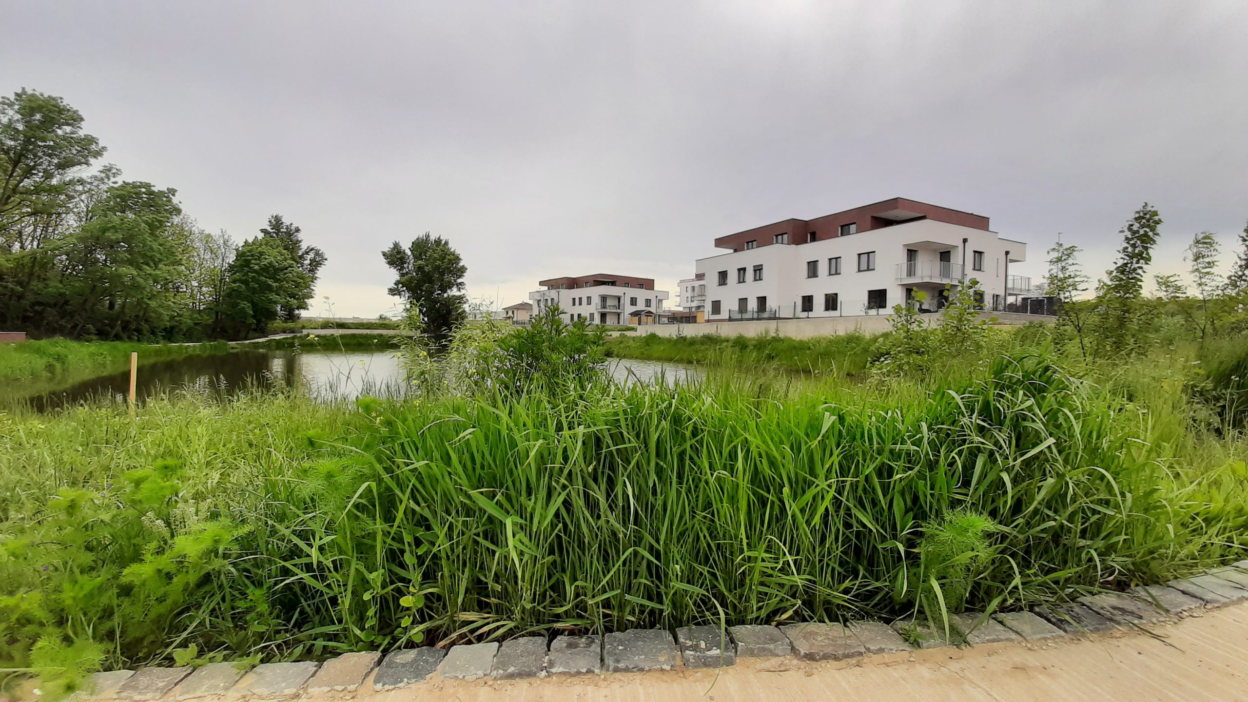 Nová Tehelňa - fotografie existujúcich objektov nova-tehelna-senec