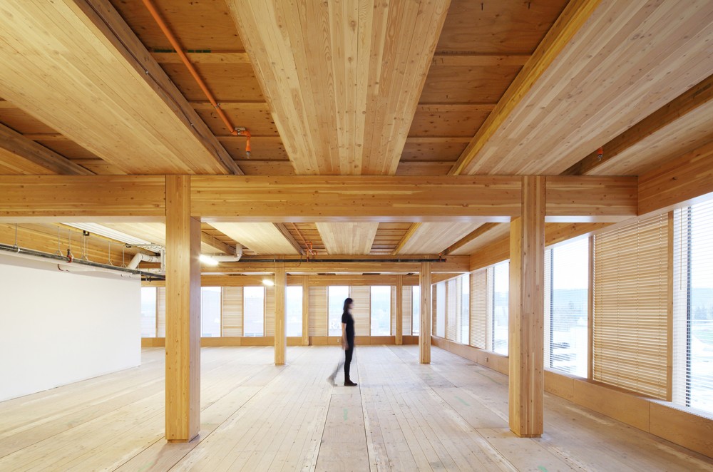 Nosné rámy sú vytvorené z lepeného lamelovaného dreva (Glulam) a stropy z priečne lepených panelov CLT (Cross laminated timber).
