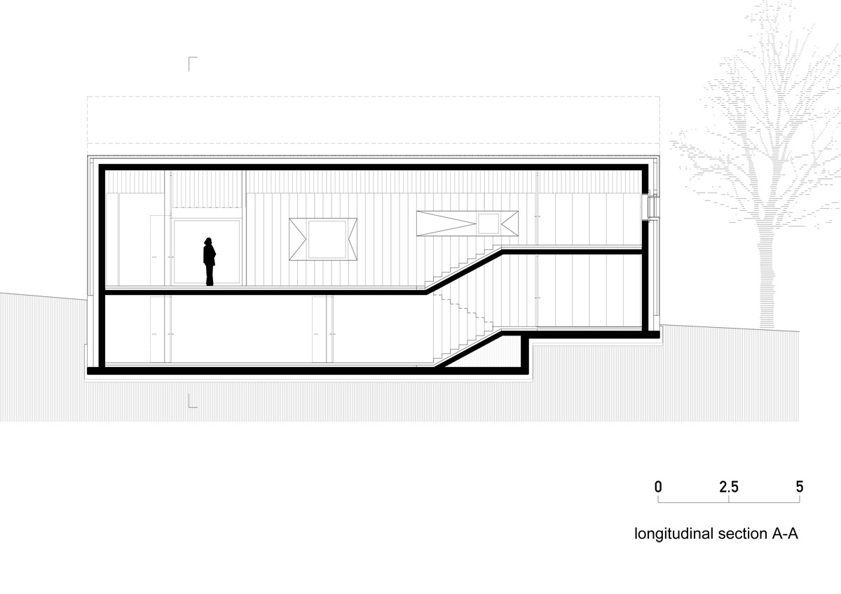 CHIMNEY HOUSE longitudinal section 1 100