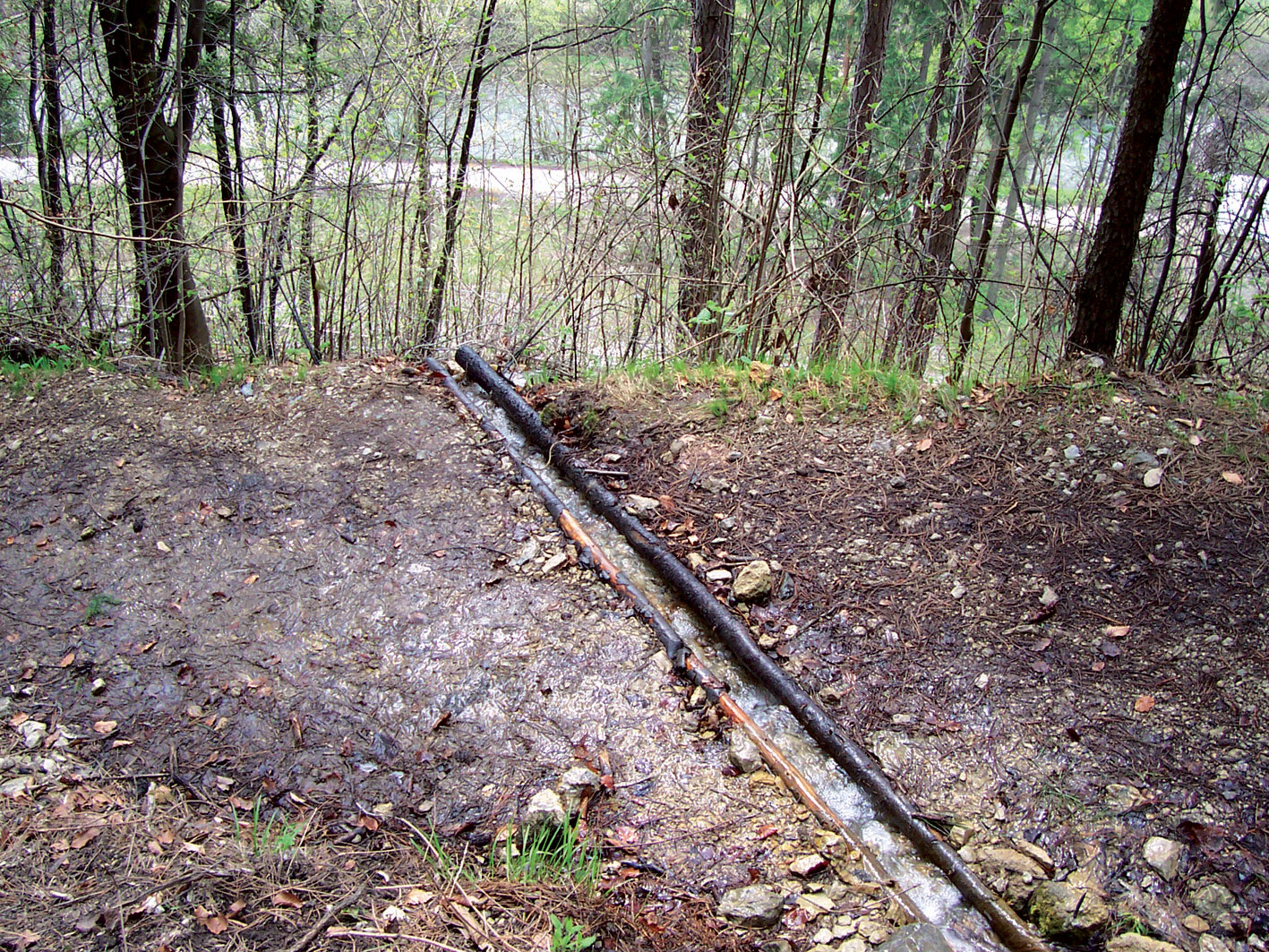 10b slavik