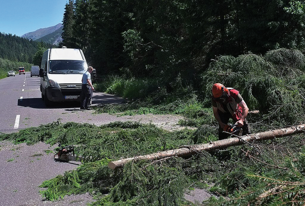 Obr. 4 Popadané stromy na ceste v dôsledku víchrice, Ždiar (zdroj: tvnoviny.sk)