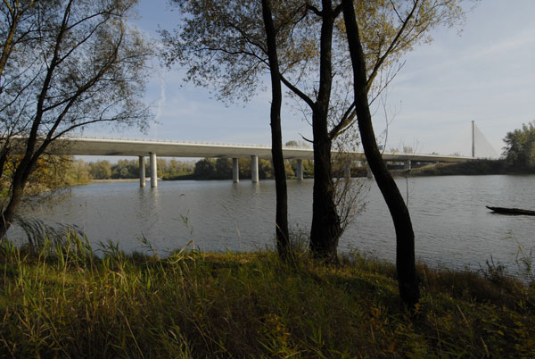 odra 11 big image