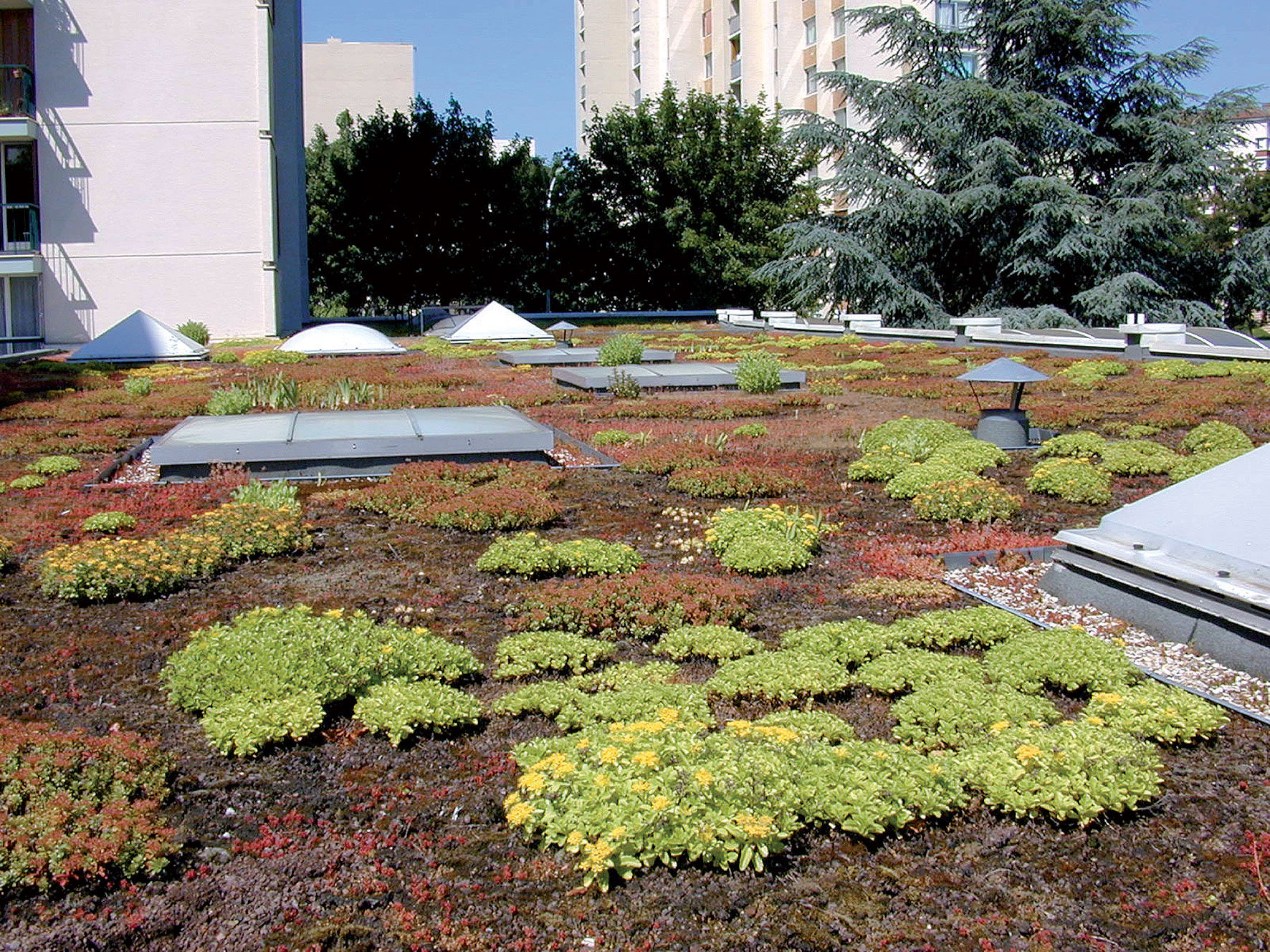 Najmodernejšie a ekologické riešenie zastrešenia bytových domov predstavuje extenzívna vegetačná strecha.