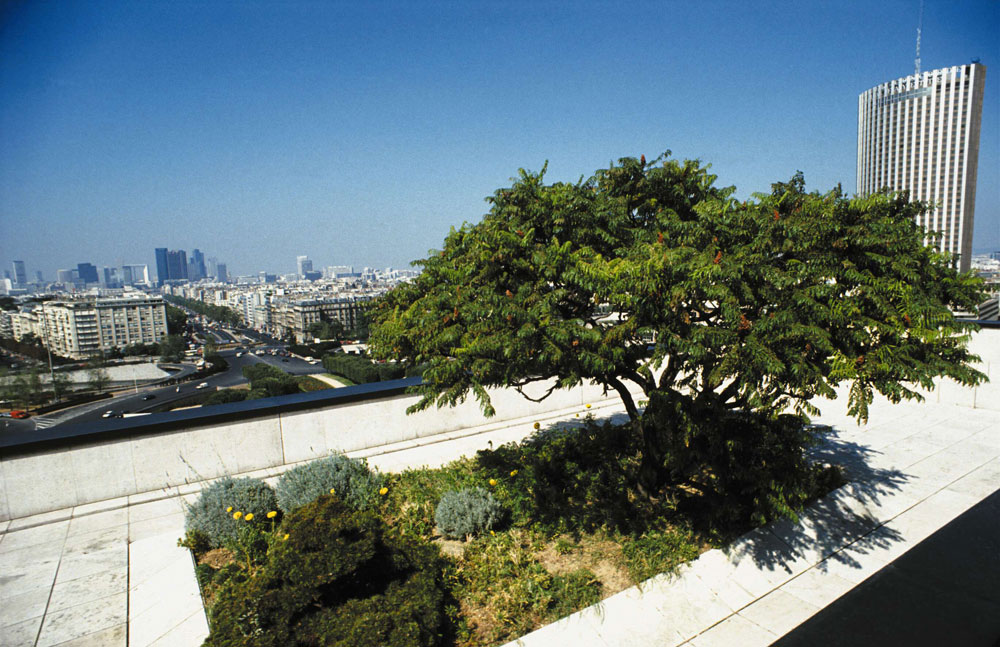 vegetacna strecha na bytovych domoch 6539 big image
