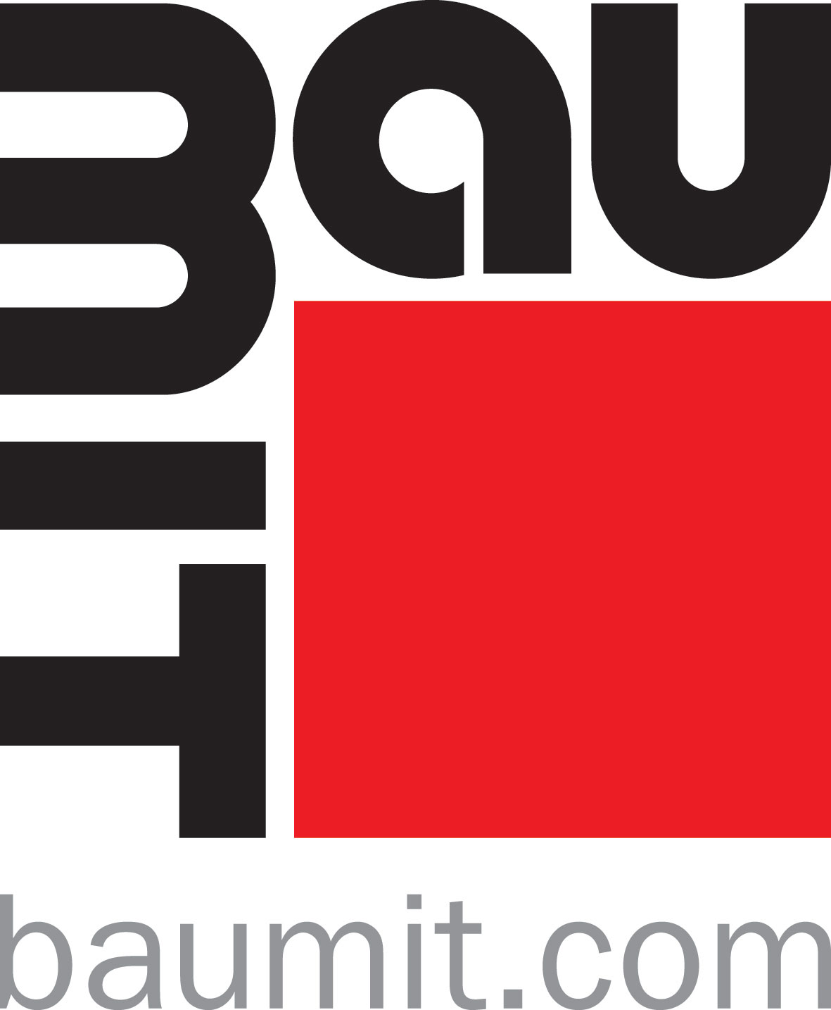 BAUMIT LOGO