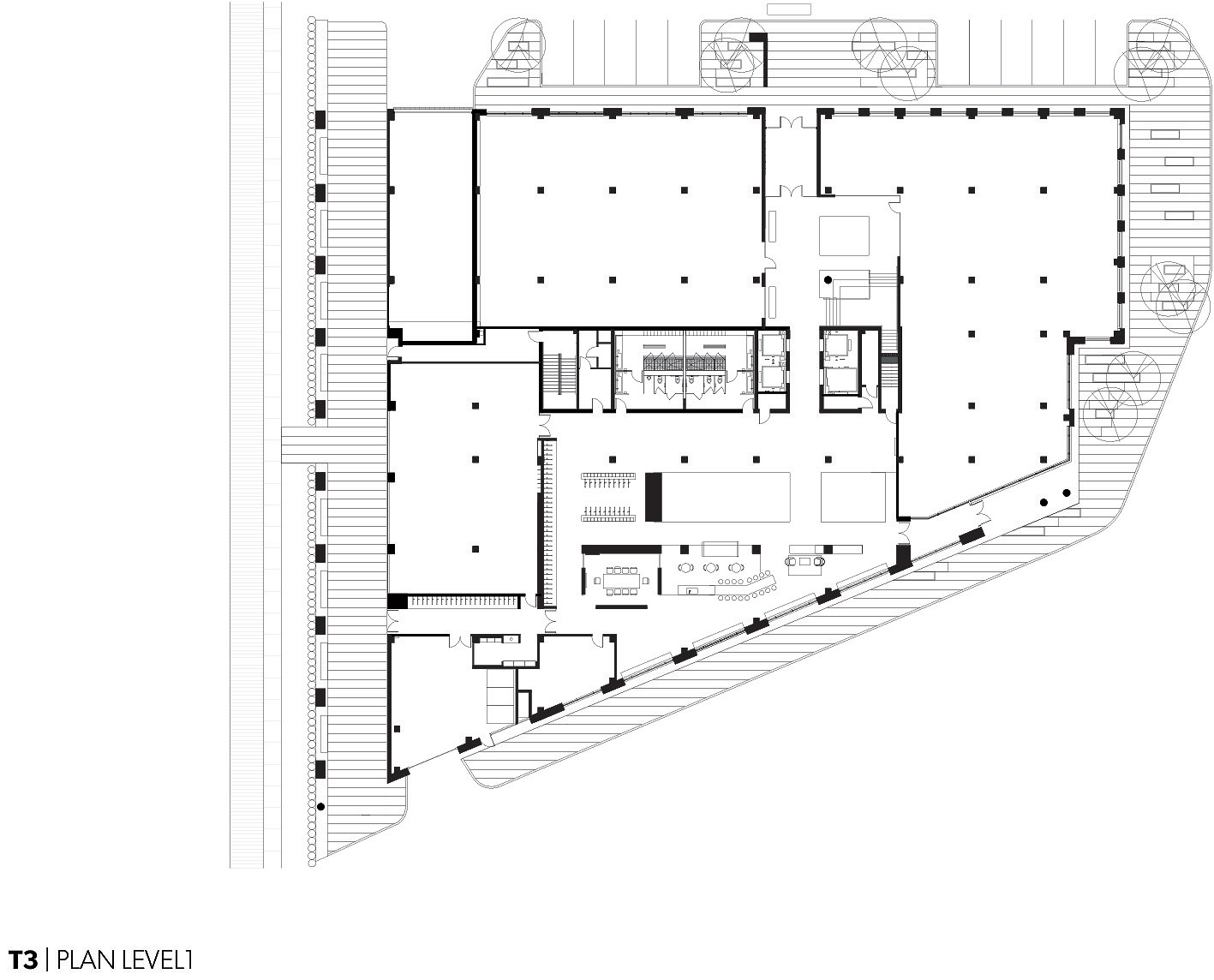 T3 SITE PLAN LEVEL 1