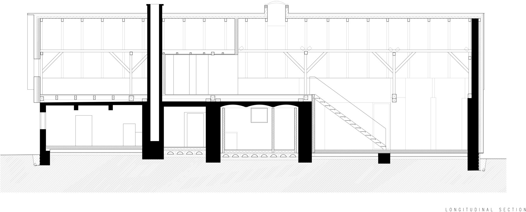 longitudinal section