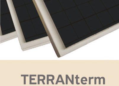 terranterm premium