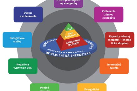 Obr 1 IE schema tmava