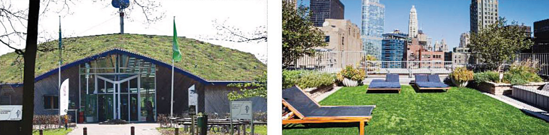 Obr. 1 Extenzívna (vľavo) a intenzívna (vpravo) zelená strecha