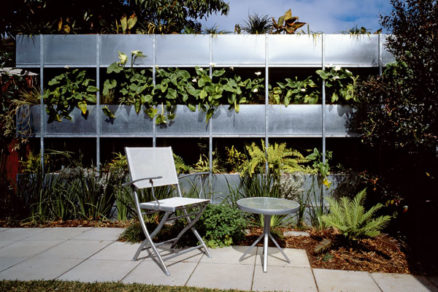 Austrálsky zelený nápad