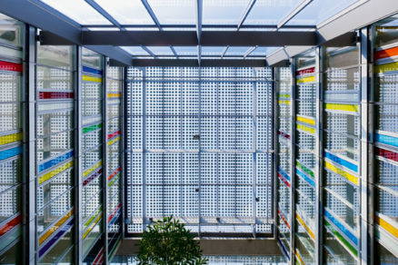 Fotovoltické články ponúkajú 50 percent tienenia a elektrinu