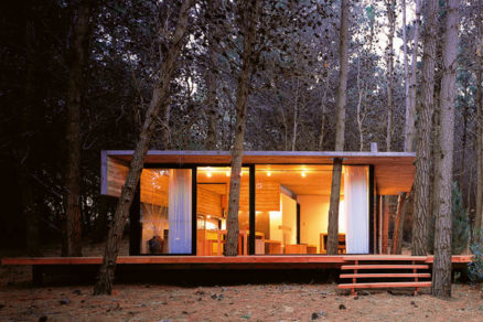 Odpočinok pod borovicami