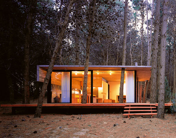 Odpočinok pod borovicami