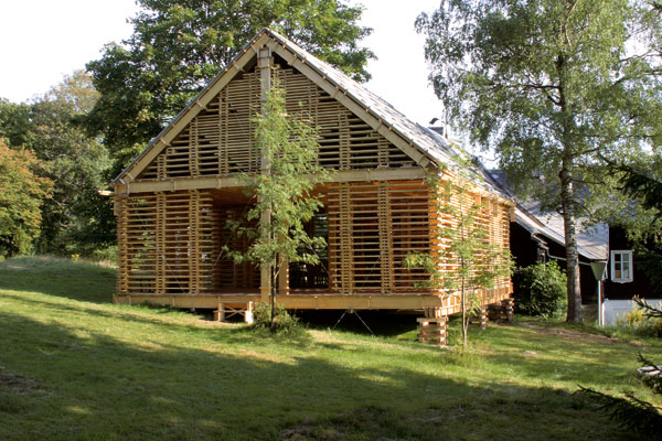 Ryby Martina Rajniša