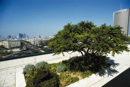 vegetacna strecha na bytovych domoch